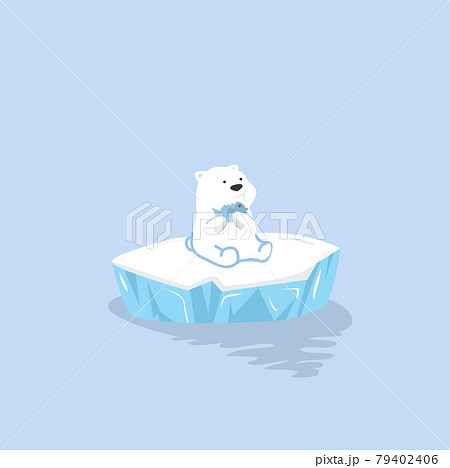 sign post ready for your text on ice floe sign post ready for your text on ice floe 79402406