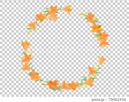 Lily frame 79402430