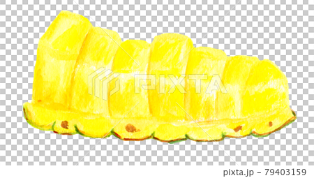 切り込みを入れたパイナップルの水彩イラスト 切り込みを入れたパイナップルの水彩イラスト 79403159