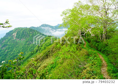 高妻山　不動コース　四普賢辺りの登山道 79403232