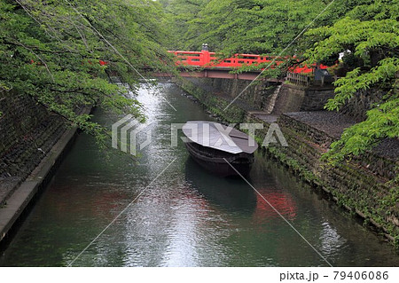 夏の奥の細道結びの地大垣・9(岐阜県大垣市) 夏の奥の細道結びの地大垣・9(岐阜県大垣市) 79406086