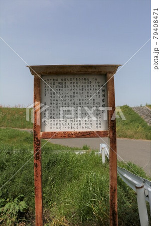 中瀬河岸 79408471