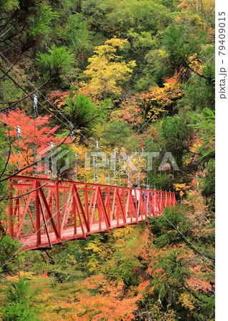 紅葉と赤い橋 79409015
