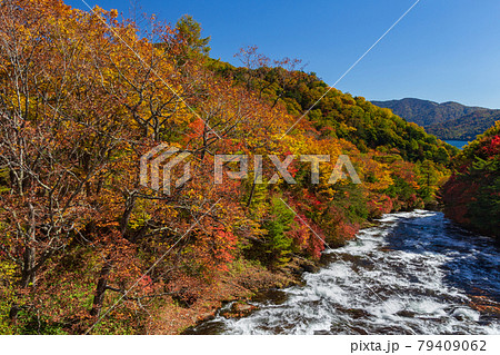 奥日光、竜頭ノ滝の紅葉 79409062