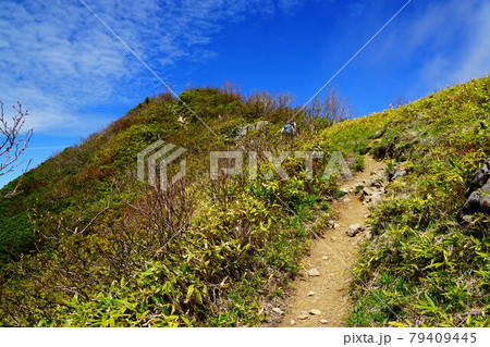 高妻山 もうすぐ山頂 高妻山 もうすぐ山頂 79409445