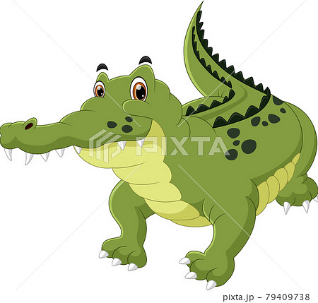 Cute Crocodile Cartoon On White Backgroundのイラスト素材