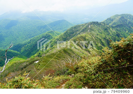 高妻山 山頂手前から振り返ってみる登山道 高妻山 山頂手前から振り返ってみる登山道 79409960