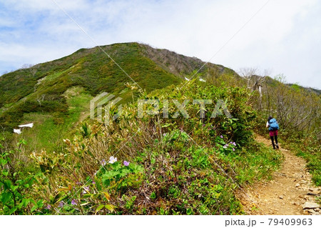 高妻山 九勢至を越え山頂へ向かう道 高妻山 九勢至を越え山頂へ向かう道 79409963