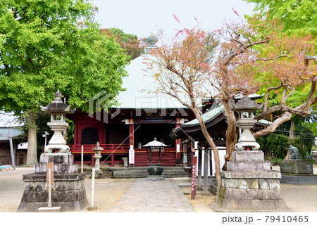 勝福寺　飯泉観音　本堂 79410465