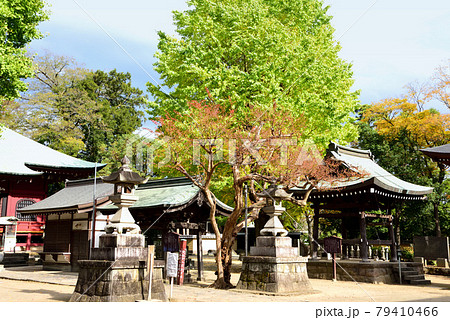 勝福寺　飯泉観音　 79410466