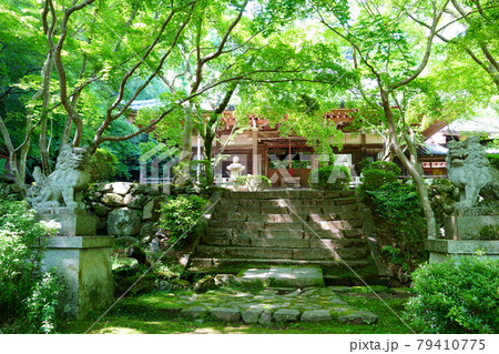 勝持寺阿弥陀堂（本堂）／京都市 79410775