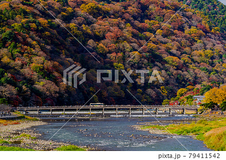 京都　秋の嵐山　渡月橋　 79411542
