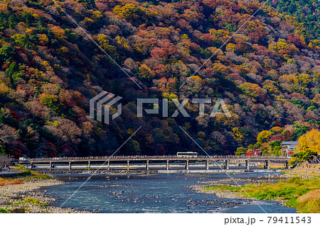 京都　秋の嵐山　渡月橋　 79411543