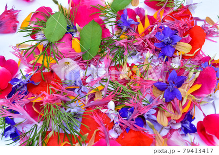 Flower petals of different colors and shapes on white. 79413417