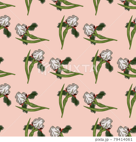 Botany seamless nature pattern with random green iris flowers ornament. Pink light background. 79414061