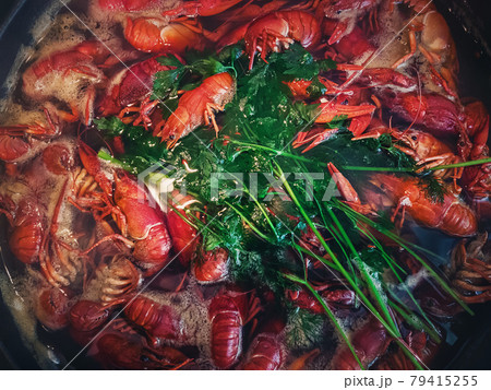 Cooking river crayfish, or crawfish, at home on a traditional recipe. A lot of red, freshwater lobsters boiling in a big bowl on hob. Preparing delicious, non gmo, organic food in house conditions 79415255