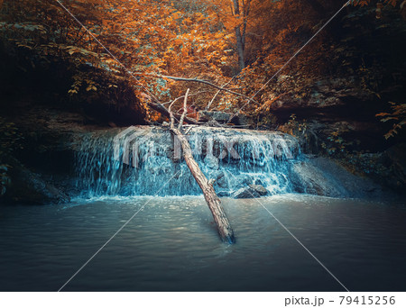 Small creek waterfall with water falling through the autumn woods. Fast stream flowing down from the spring in the forest, through the hills. Saharna cascade called Gypsy Hole, Moldova 79415256