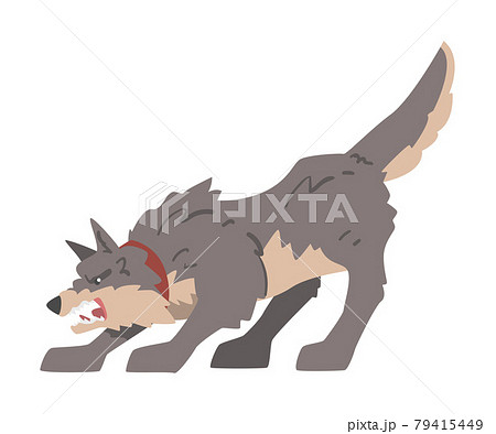 Aggressive Gray Dog Barking and Baring its Teeth Vector Illustration 79415449
