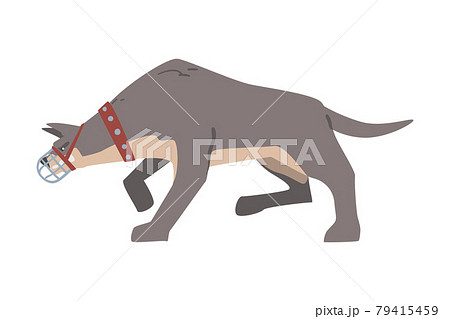 Aggressive Muzzled Dog in Leather Collar Standing in Fighting Pose Vector Illustration 79415459