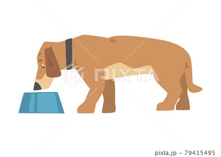 Side View of Dachshund Dog Eating Food from Bowl, Cute Pet Animal with Light Brown Coat Cartoon Vector Illustration 79415495