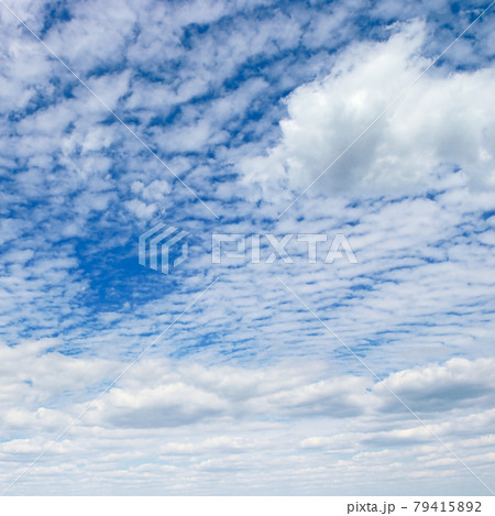 Square landscape with blue sky and clouds. 79415892