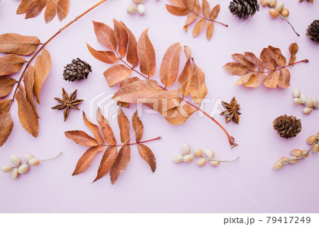 Autumn pattern made of dried leaves and pine cones 79417249