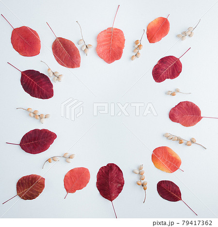 Wreath of dried red leaves on white background 79417362