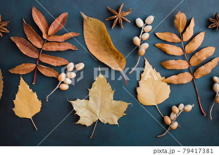Autumn background, pattern made of dried leaves Autumn background, pattern made of dried leaves 79417381