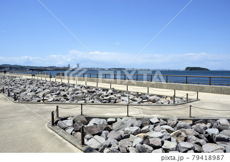 海辺の遊歩道 うみかぜの路 海辺の散策路 防潮堤 海辺の遊歩道 うみかぜの路 海辺の散策路 防潮堤 79418987