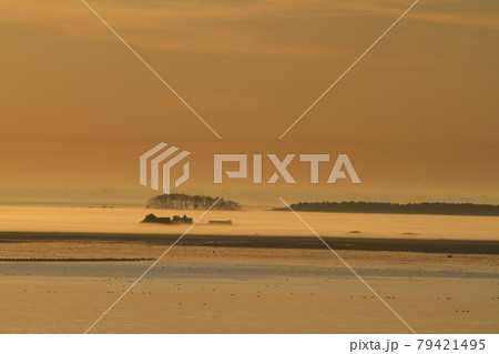 船上から白夜のバルト海の夜明けの風景 船上から白夜のバルト海の夜明けの風景 79421495