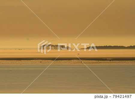 白夜のバルト海の夜明けの風景 白夜のバルト海の夜明けの風景 79421497