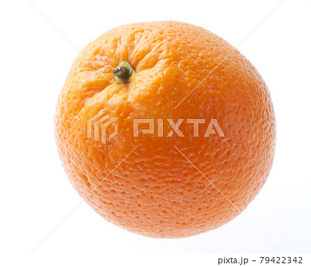 オレンジ 白バック オレンジ 白バック 79422342