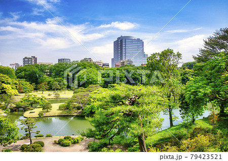 東京都 六義園 (りくぎえん) 藤代峠からの展望 特別名勝 東京都 六義園 (りくぎえん) 藤代峠からの展望 特別名勝 79423521