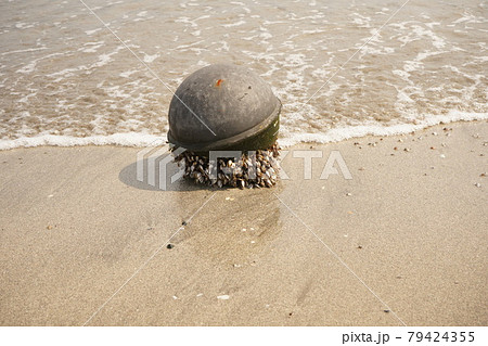 沢山のフジツボが付着して、ヤシの実のように浜辺に流れ着いた漁具の浮き 79424355