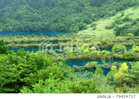 中国四川省　九寨溝樹正寨付近の樹正群海 79424717