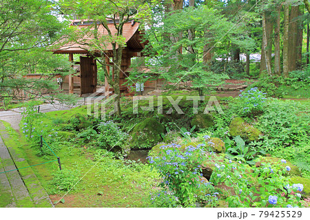 光前寺 本坊庭園　長野県駒ケ根市 79425529