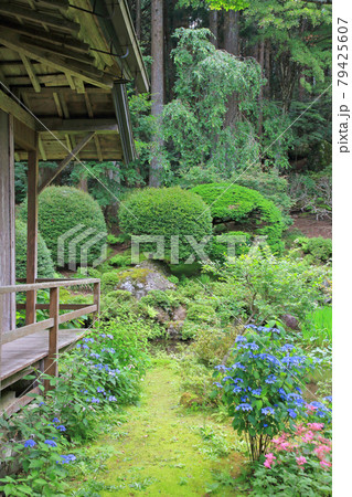 光前寺 本坊庭園 長野県駒ケ根市 光前寺 本坊庭園 長野県駒ケ根市 79425607