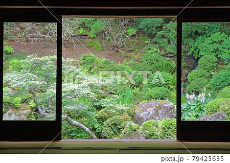 光前寺 本坊客殿庭園 長野県駒ケ根市 光前寺 本坊客殿庭園 長野県駒ケ根市 79425635