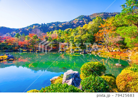 天龍寺の曹源池庭園 79425683