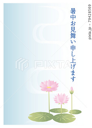 暑中見舞いのはがき　睡蓮の花 79428569