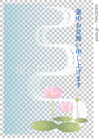 暑中見舞いのはがき　睡蓮の花 79428569