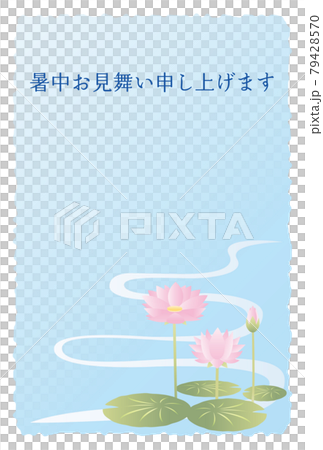 暑中見舞いのはがき　睡蓮の花 79428570
