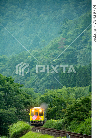 梅雨時の樽見鉄道 水鳥（みどり）駅 79429774