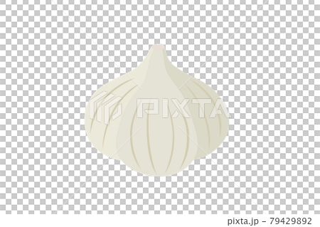 シンプルでかわいいニンニクのベクターイラスト 79429892