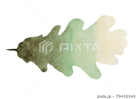 autumn green gradient oak watercolor leaf on white background autumn green gradient oak watercolor leaf on white background 79430340