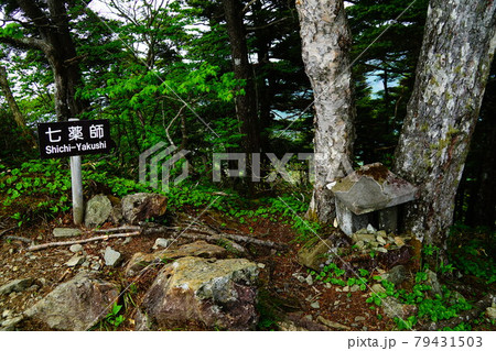 九勢至手前より見る高妻山  九勢至手前より見る高妻山  79431503