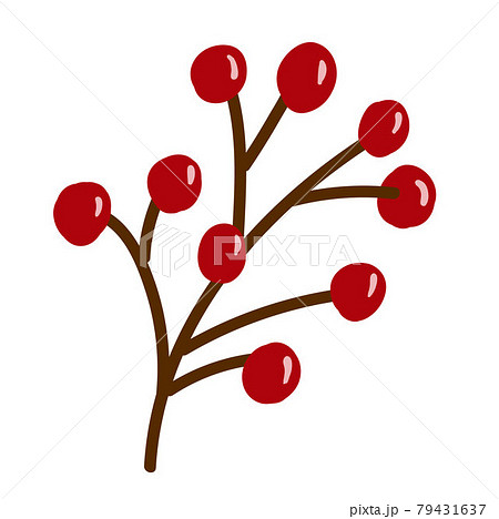 Bunch of rowan berries isolated on white background. Vector illustration 79431637