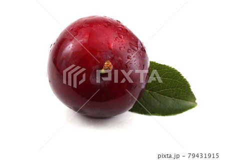 Plum and leaf Plum and leaf 79431915