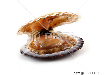 Opened scallop 79431932