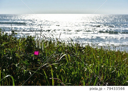 能登の海岸風景 79433566